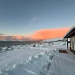 Lovely Amidst Bustling Wildlife 度假居
