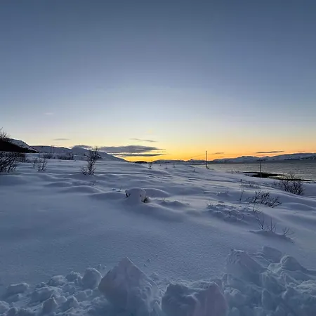 Lovely Amidst Bustling Wildlife * Vannareid