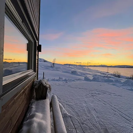 Lovely Amidst Bustling Wildlife Vannareid