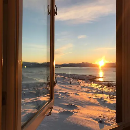 Lovely Amidst Bustling Wildlife Vannareid