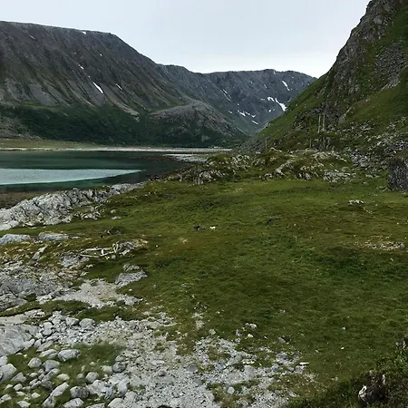 Lovely Amidst Bustling Wildlife *