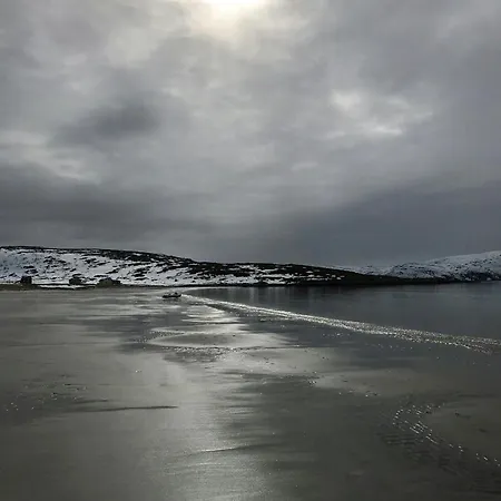 Lovely Amidst Bustling Wildlife Vannareid