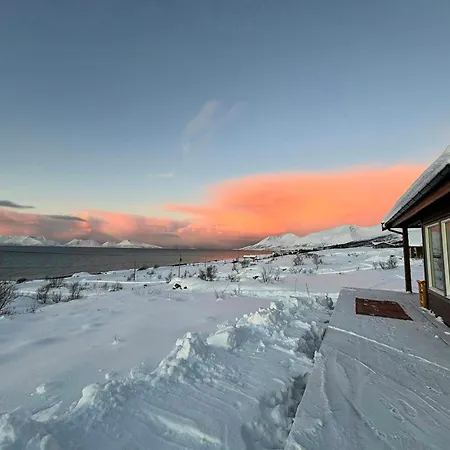 Lovely Amidst Bustling Wildlife Holiday home