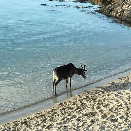 Holiday home Lovely Amidst Bustling Wildlife Vannareid