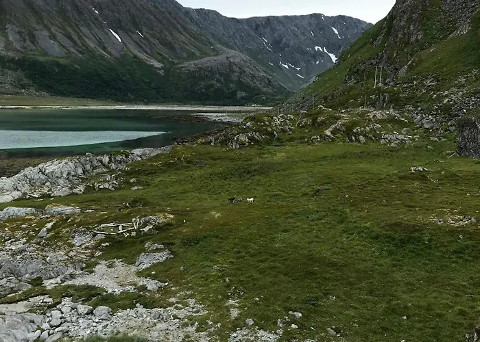 Lovely Amidst Bustling Wildlife Дом отдыха