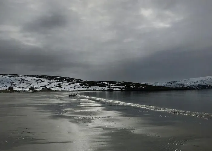 Lovely Amidst Bustling Wildlife *